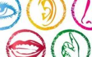 Какие бывают чувства у человека: их проявления и классификация по таблице эмоций