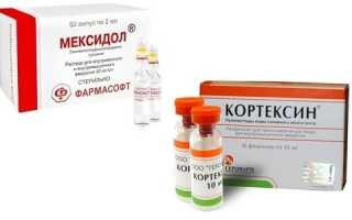 Можно ли одновременно колоть препараты Мексидол и Кортексин, их совместимость