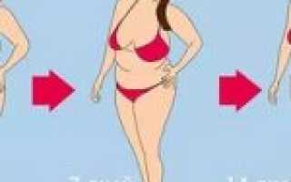 Как похудеть на 7 кг за две недели — диета, меню, отзывы