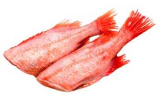 Морской окунь польза и вред для организма человека