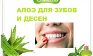 Как использовать алоэ для лечения зубов