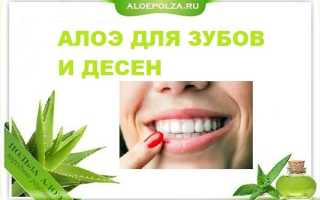 Как использовать алоэ для лечения зубов