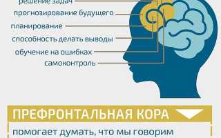 Глава 7. Невнимание и импульсивность. Префронтальная кора