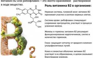 Свекла с чесноком и майонезом. Калорийность, польза, вред, БЖУ. Рецепты