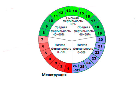 Календарь менструации