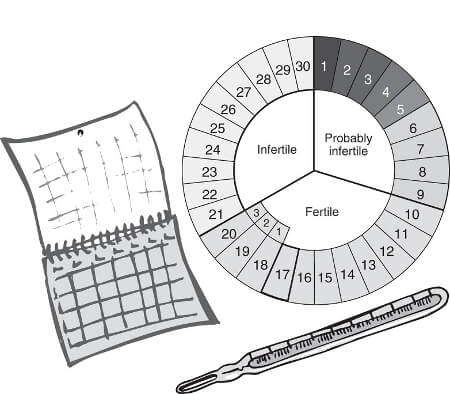 Календарный метод предохранения
