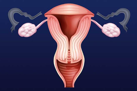 Перистальтика маточных труб