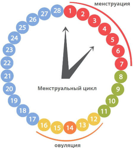 Боль в груди во время месячных