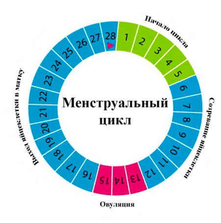 Влияние свечей на менструальный цикл