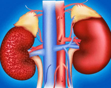 Прием контрацептивов при почечной недостаточности