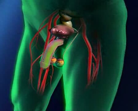 Отсутствие эрекции при использование жидкого презерватива