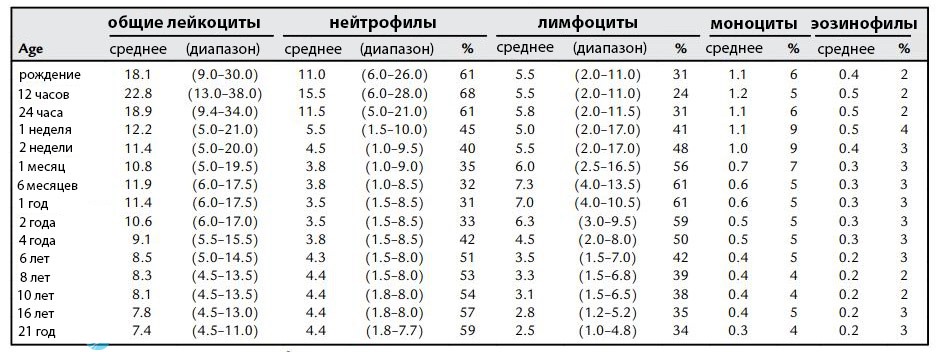 Таблица гранулоцитов